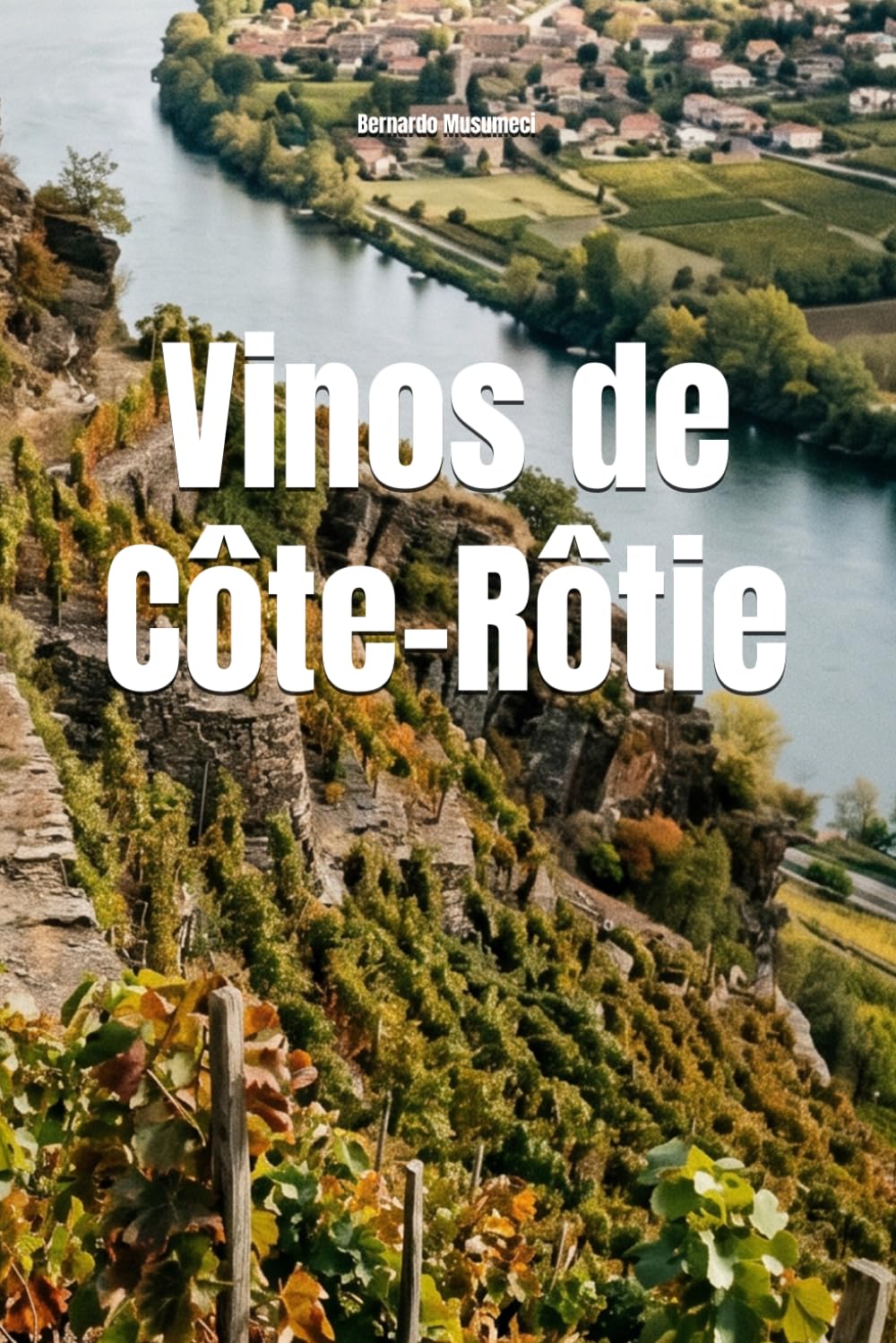 Vinos de Côte-Rôtie (Wines of the World: France)