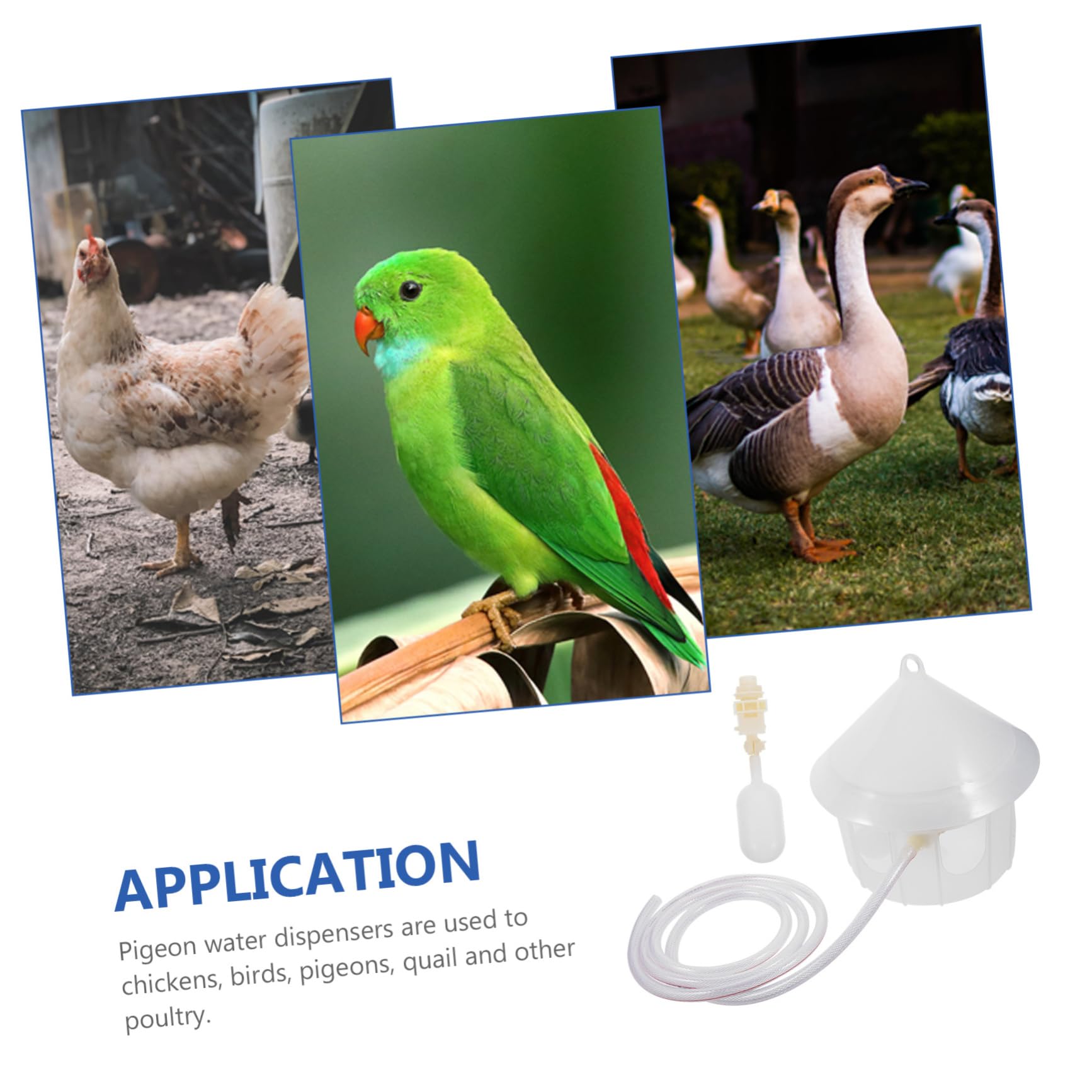 Abreuvoir Automatique pour Pigeons, Plastique, Grosse Capacité