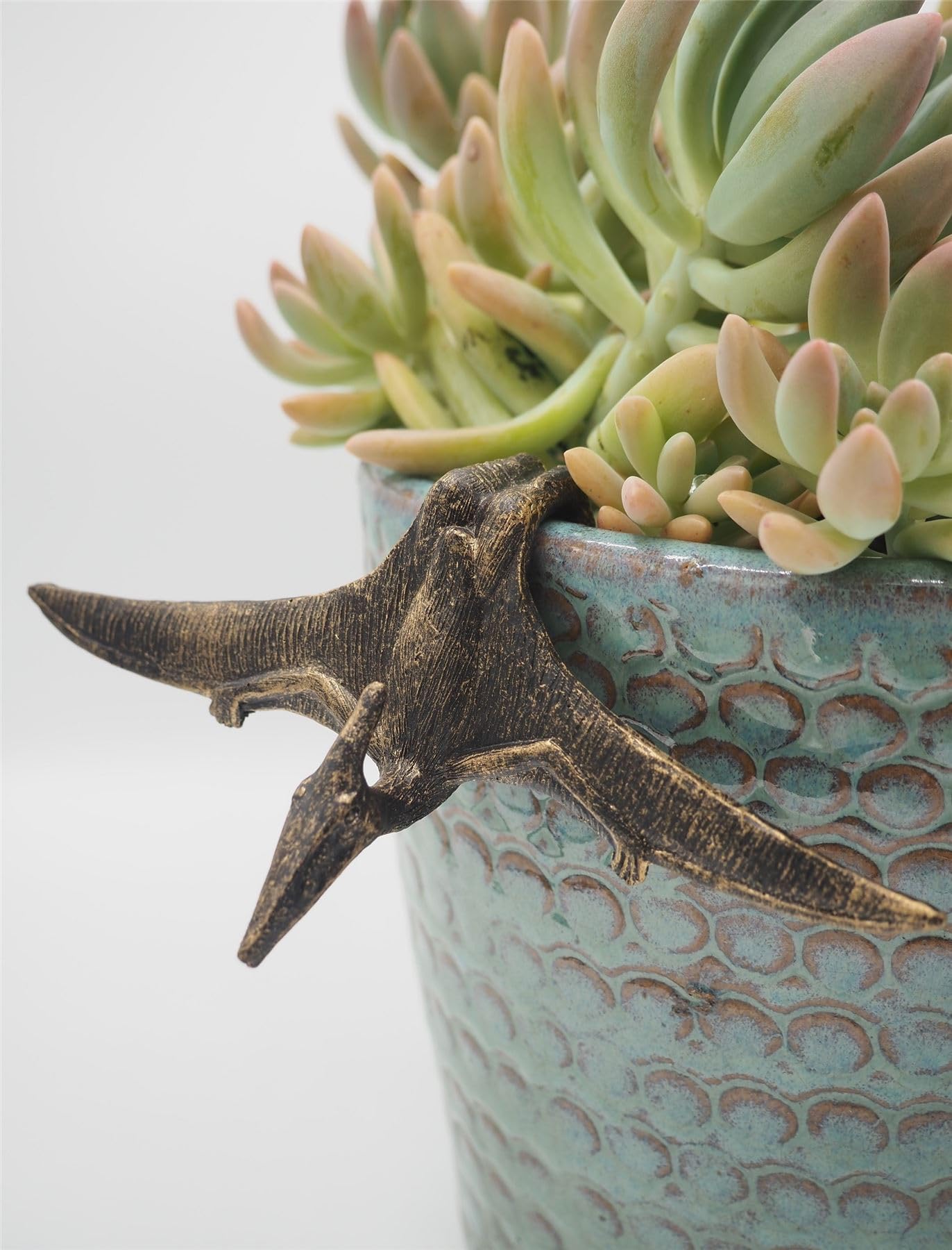 Potty Feet Pteranodon Pot Buddies Plant Pot Hanger
