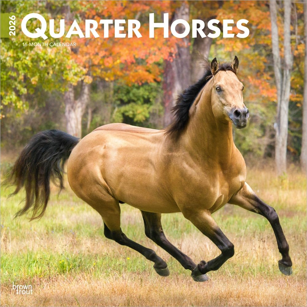 Quarter Horses - Quarter Horse 2026 - 16-Monatskalender: Original BrownTrout-Kalender [Mehrsprachig] [Kalender]