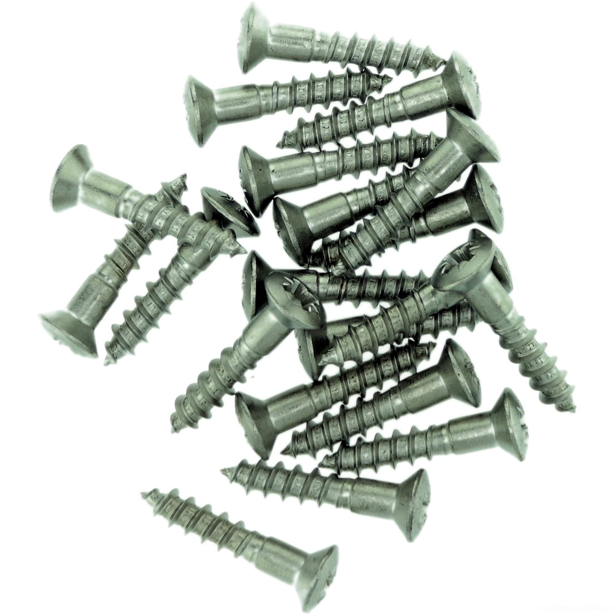 Singularity Supplies No.4 X 0.98 (3.0Mm X 25Mm) Pozi Raised Countersunk Wood Screw - Stainless Steel (A2) (Pack Of 20)