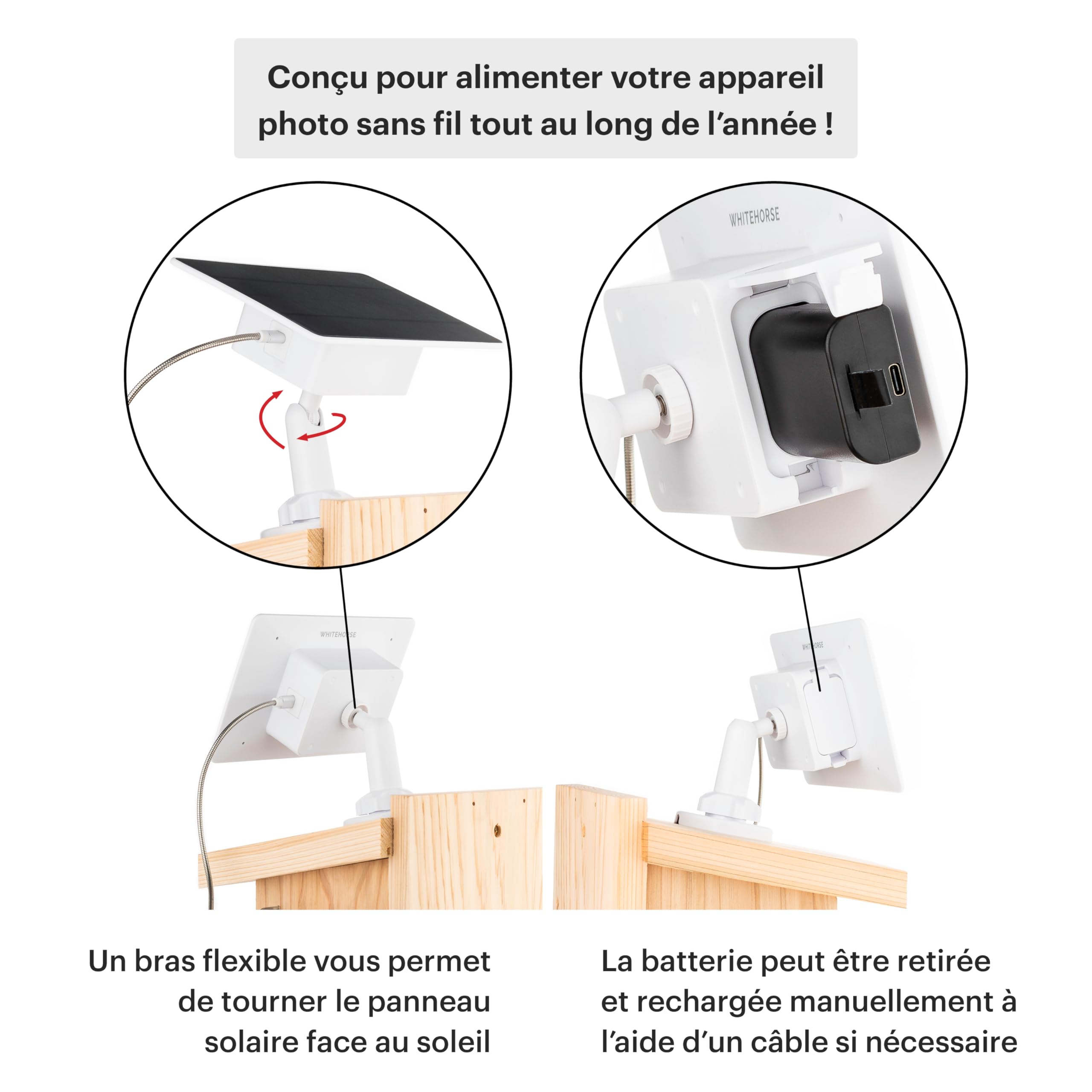 WHITEHORSE Caméra pour nichoirs à oiseaux - Sans fil et alimentée par énergie solaire -Regardez et enregistrez depuis votre téléphone (application gratuite) - Soyez averti lorsqu'un oiseau est détecté