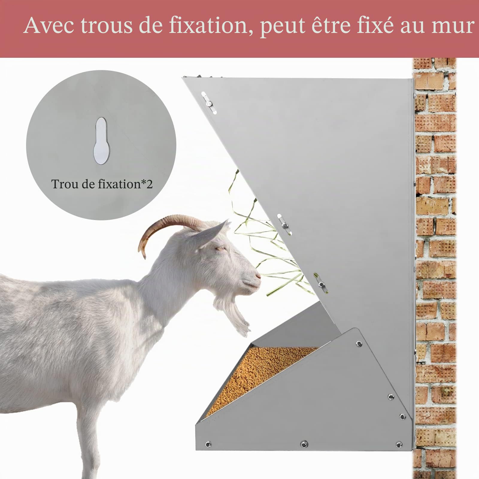 2 en 1 Mangeoire à Foin Murale Alimentateur de Foin et de céréales en Acier galvanisé Suspendu Corral Foin pour chèvres Moutons Chevaux Alimentateur