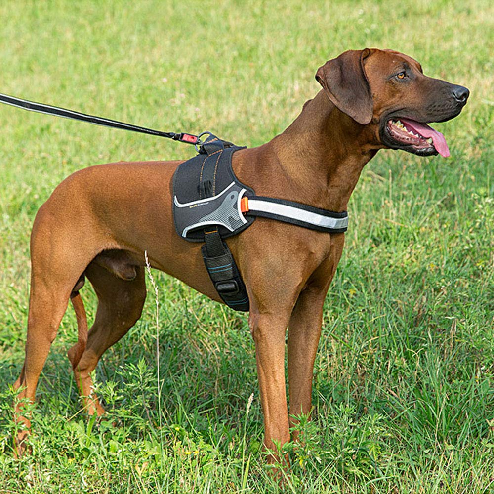 Ferplast Pettorina per Cani HERCULES MEDIUM, Imbottita, Resistente, Antigraffio, Riflettente, con Maniglia