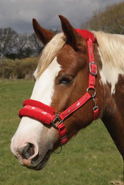 Rhinegold Logo Headcollar Finiture in Pile Nero per Cavallo - 3