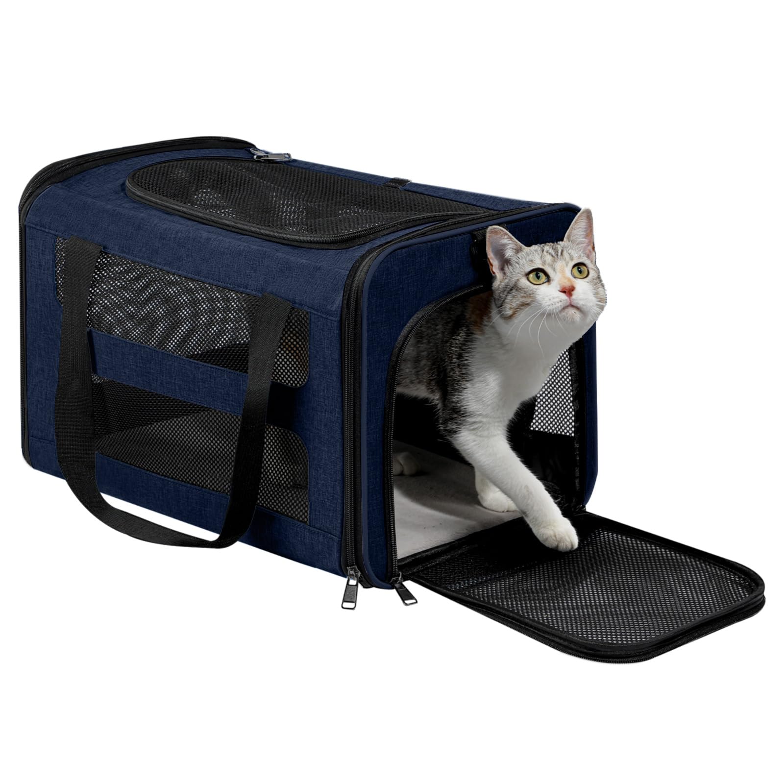 Cat Carrier Soft-Sided Travel Bag for Medium to Large Cat Over 15lbs