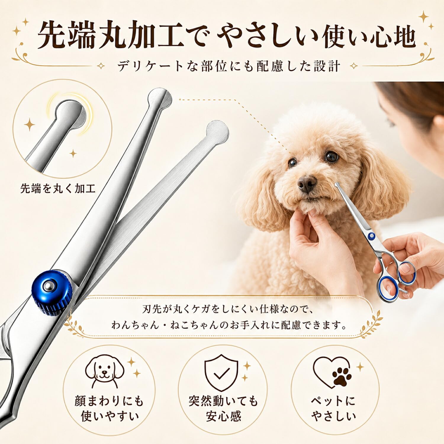Amazon.co.jp: Lifetips ビション・フリーゼ（Bichon Frisé