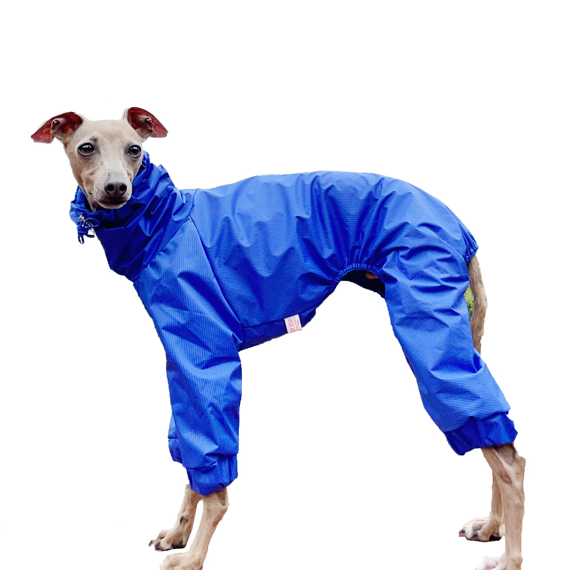 D DOGGY STAR Italian Greyhound Raincoat Waterproof Jacket Windbreaker Clothes Whippet for Dog (L,Raincoat Blue) — image 1