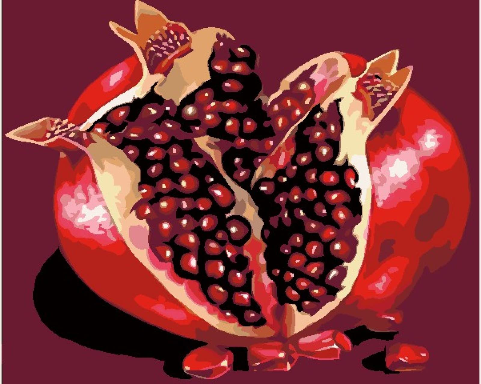 Point de croix débutant grenade rouge 11CT broderie 40x50cm - 8