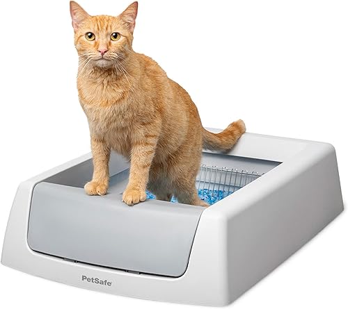 PetSafe ScoopFree Crystal Classic - Caja de arena automática para gatos, control avanzado de olores, incluye bandeja de arena de cristal desechable