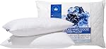 Canadian Down & Feather Co. - 2 Pack Soutien de l'entreprise oie blanche blanchie Feather Taille du Roi Oreiller - 255 TC Coque 100% Coton - Remplis au Canada