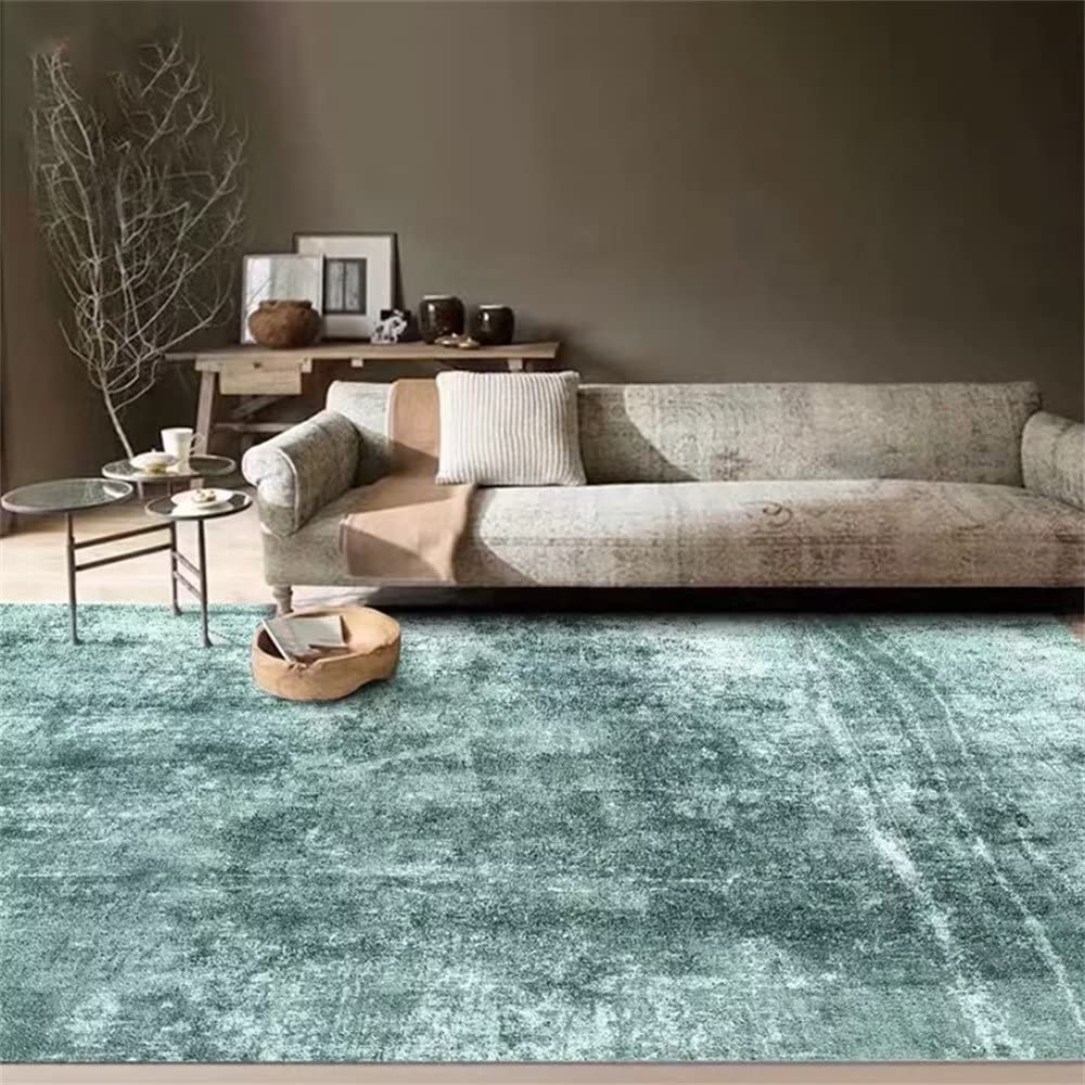 Tapis de salon decontracte personnalisable et moquette haute densite