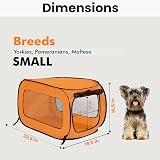 Ver la foto 2