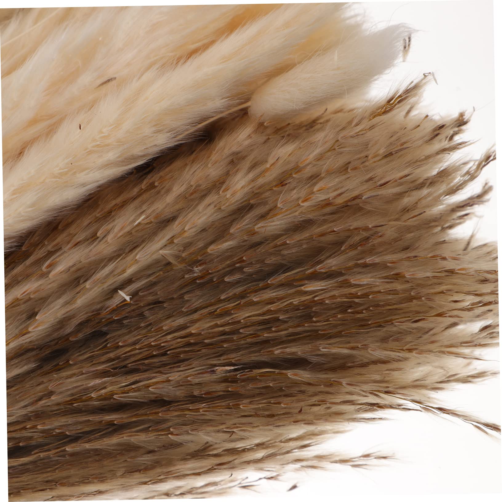 IMIKEYA 2 Ensembles De Roseau Simulée De Pampa Séchée De La Pampa Fleurs Séchées à La Maison Roseau Pelucheux Roseau Séché Pompeuse Pelucheuse Fleur De Soie Lapin Queue