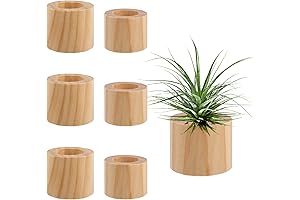 Set of 6 Wood Air Plant Holders - Beautify Your Space