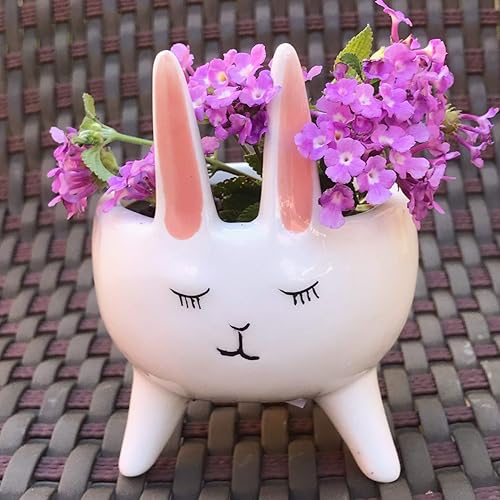 Miniatura 3 de Macetero para plantas suculentas, macetas de cerámica para interiores, macetas novedosas para el hogar, oficina, jardín (flamenco rosa, 1)