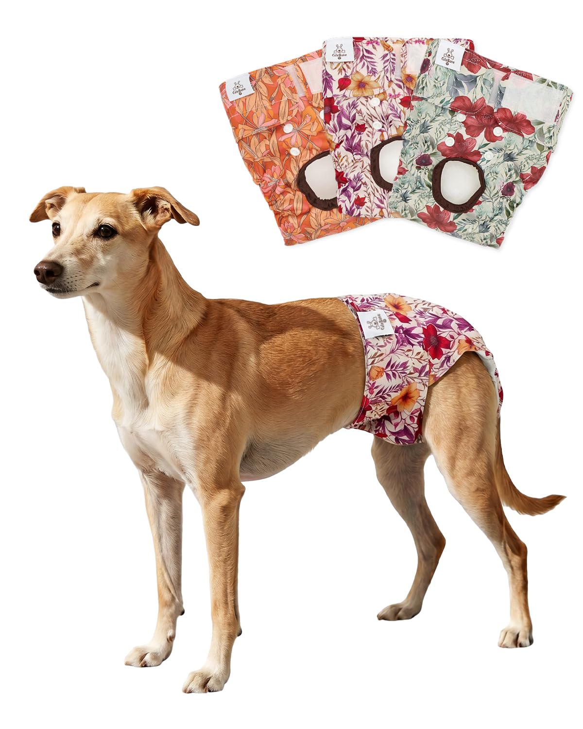 CuteBone Dog Diapers Female Washable Small Medium Large 3 Pack Reusable Doggie Diapers Puppy Period Pants for Doggy Heat Cycle Peeing D82XL