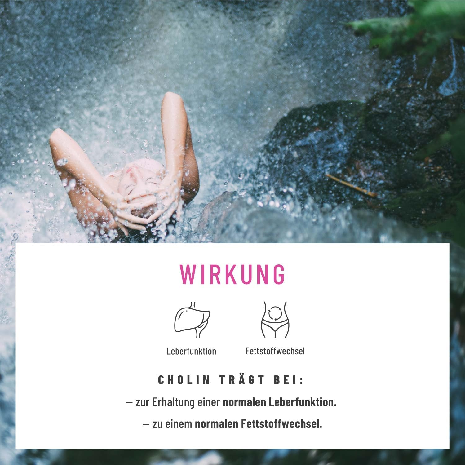 NATURTREU® Mariendistel Artischocke Löwenzahn Kapseln - Leber Komplex mit Cholin für die normale Funktion der Leber - Mariendistel Hochdosiert 80% Silymarin 200 mg - 120 Kapseln - 4 fach Komplex