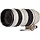 Canon EF 70-200mm f/2.8L USM Telephoto Zoom Lens for Canon SLR Cameras