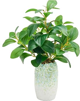 K&Y Realistic Artificial Potted Plants Olive Wild Fern Berry Decor Low Maintenance Faux Greenery Indoor Fake Plants for Home Office Bathroom Kitchen Desk Shelf Green Flower vase Potted Plant