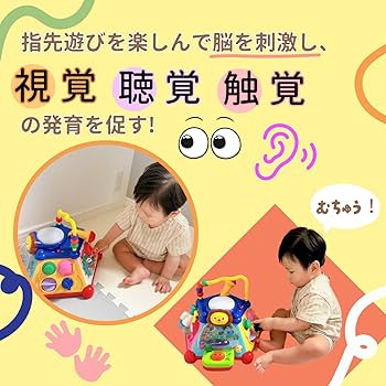 知育玩具 R Amazon.co.jp: トイローヤル たのしく知育! やみつきボックス