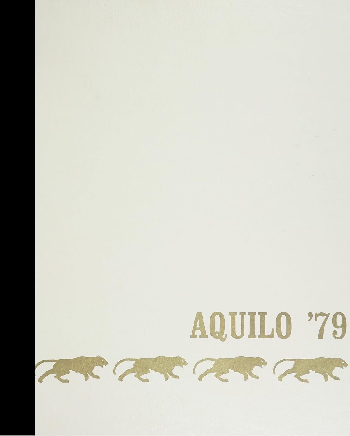 (Reprint) 1979 Yearbook: Glenbard North High School, Carol Stream, Illinois      Paperback – May 1, 1979