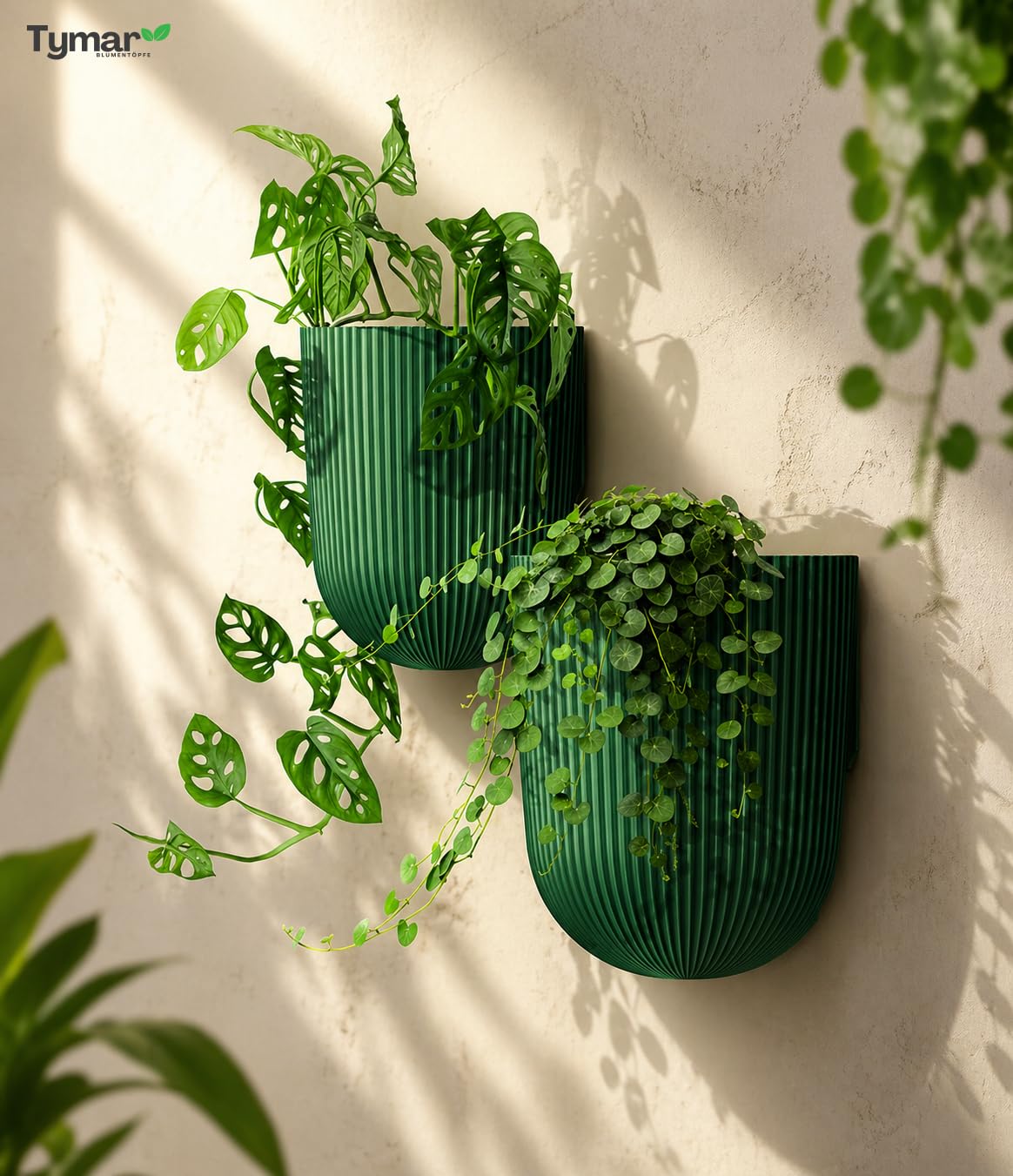 Tymar Wandblumentopf, Blumentopf Wand, Moderner Pflanztopf zur Wandmontage, Wandtopf, 2er-Pack (Grün, ø 15 cm) Garten