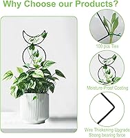 Vista 6 de 4 Paquetes de Enrejados para Plantas Trepadoras de Interior, HENABLE Enrejado de Metal Pequeño para Jardín para Plantas en Macetas al Aire Libre