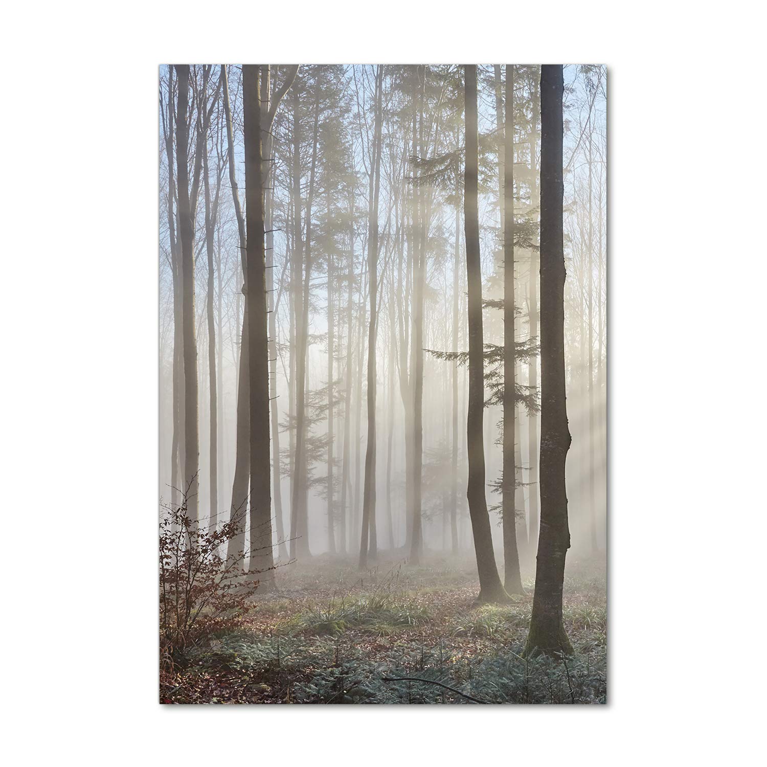 Image sur verre acrylique paysage brumeux pour grand salon