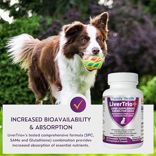 Miniatura 9 de LiverTrio+ Suplemento integral de apoyo hepático para perros más pequeños. Tabletas masticables sabrosas que combinan el mismo, SPC, silybin A+B,