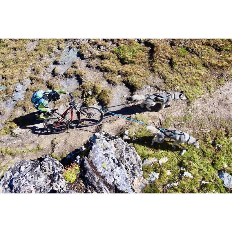 Twinjor – Linie 2 Hunde Cani-Mountainbike