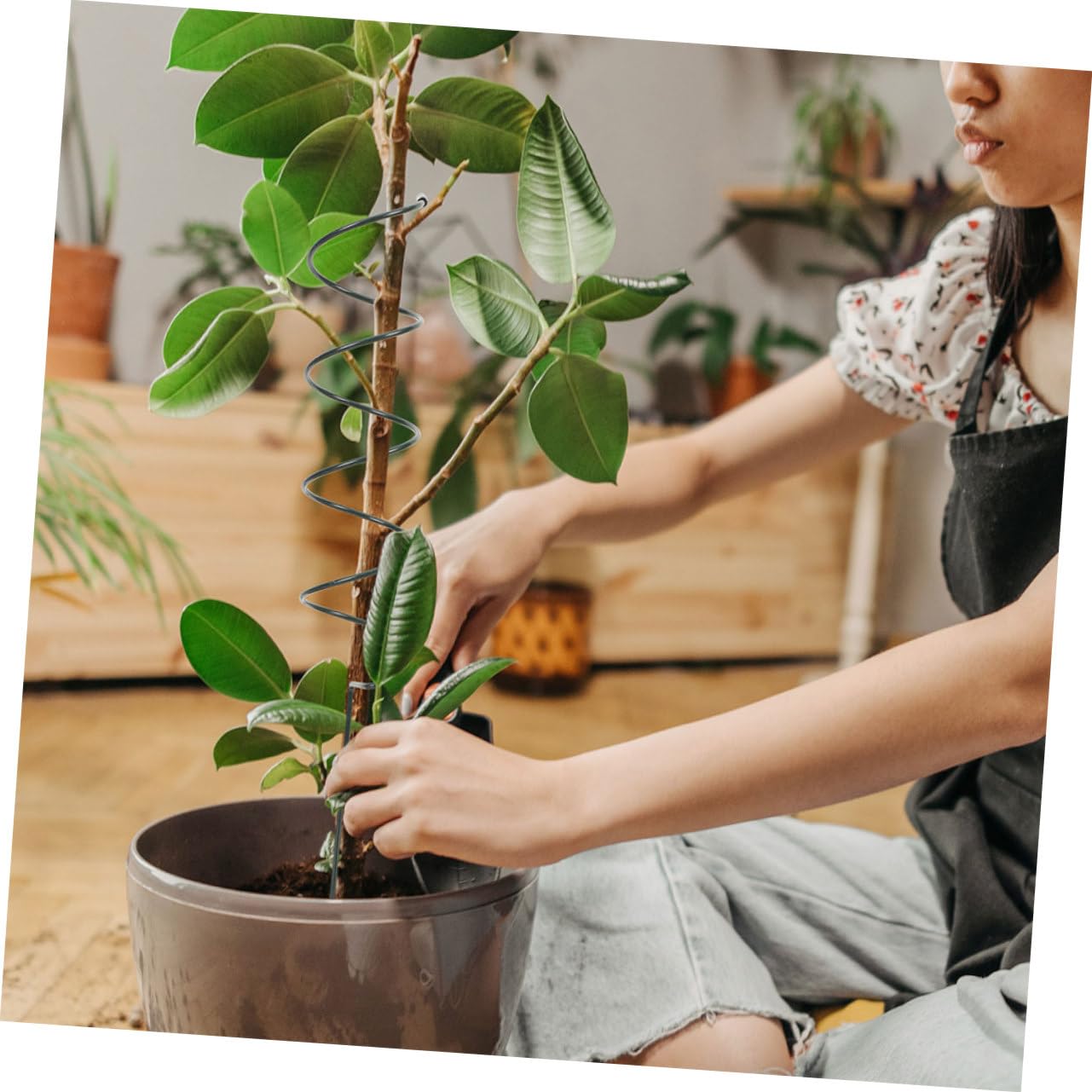 ibasenice Lot de 8 Tuteurs de Jardin en Spirale en Fer pour Soutenir Les Plantes et Protéger Leur Croissance, pour Jardin et Intérieur