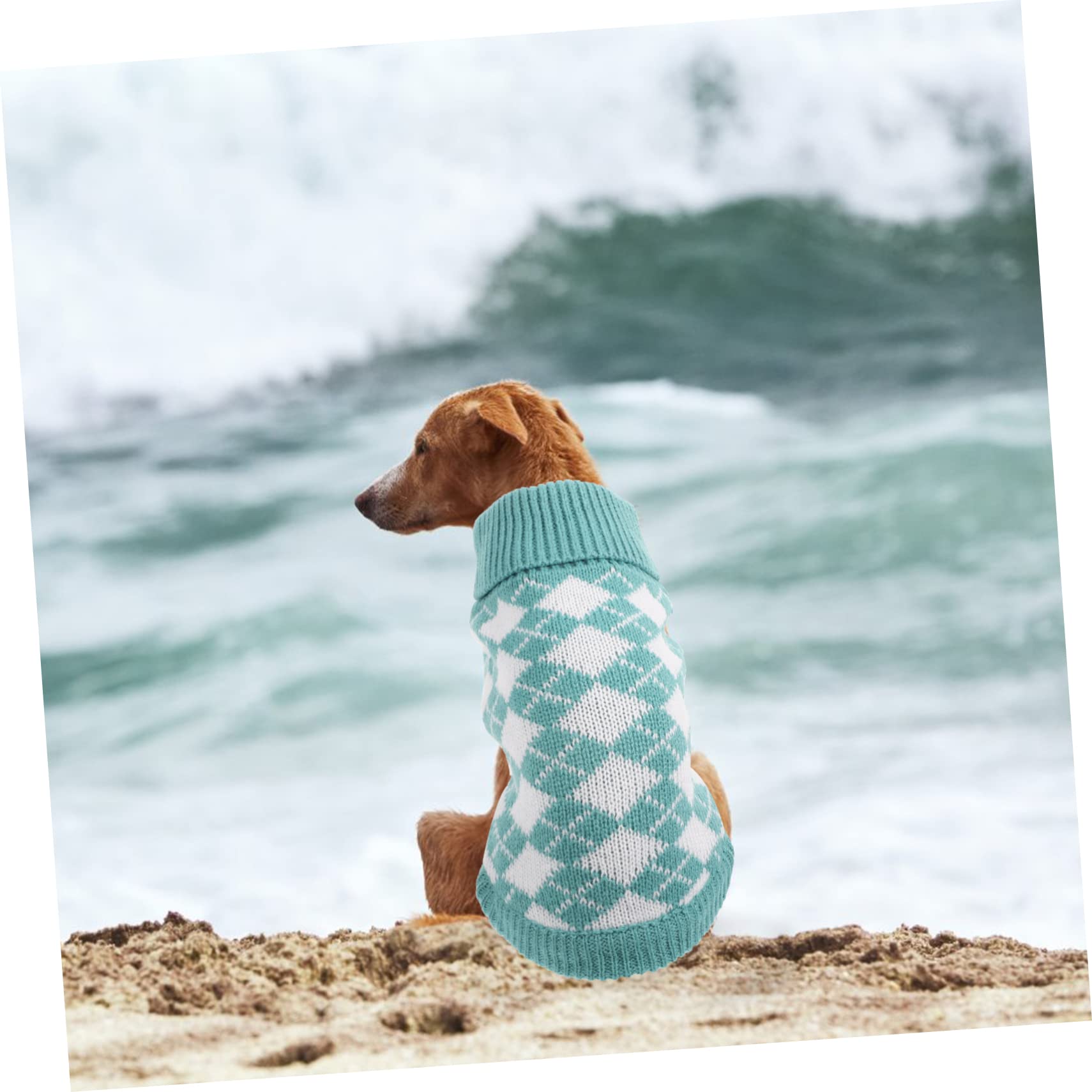 INOOMP 5pièces Pull Chien Adorable à Carreaux Vêtement Chaud pour Chiens Et Costumes Et Hiver pour Et Activités Extérieures