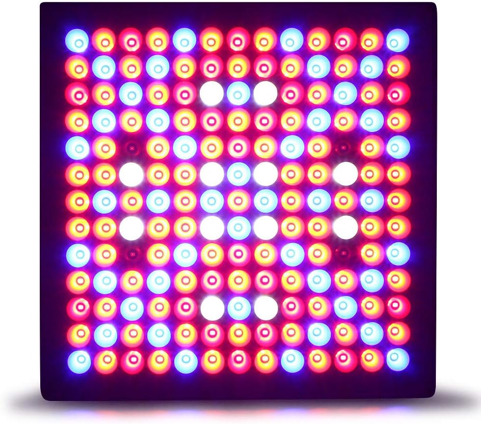 luci per orticoltura