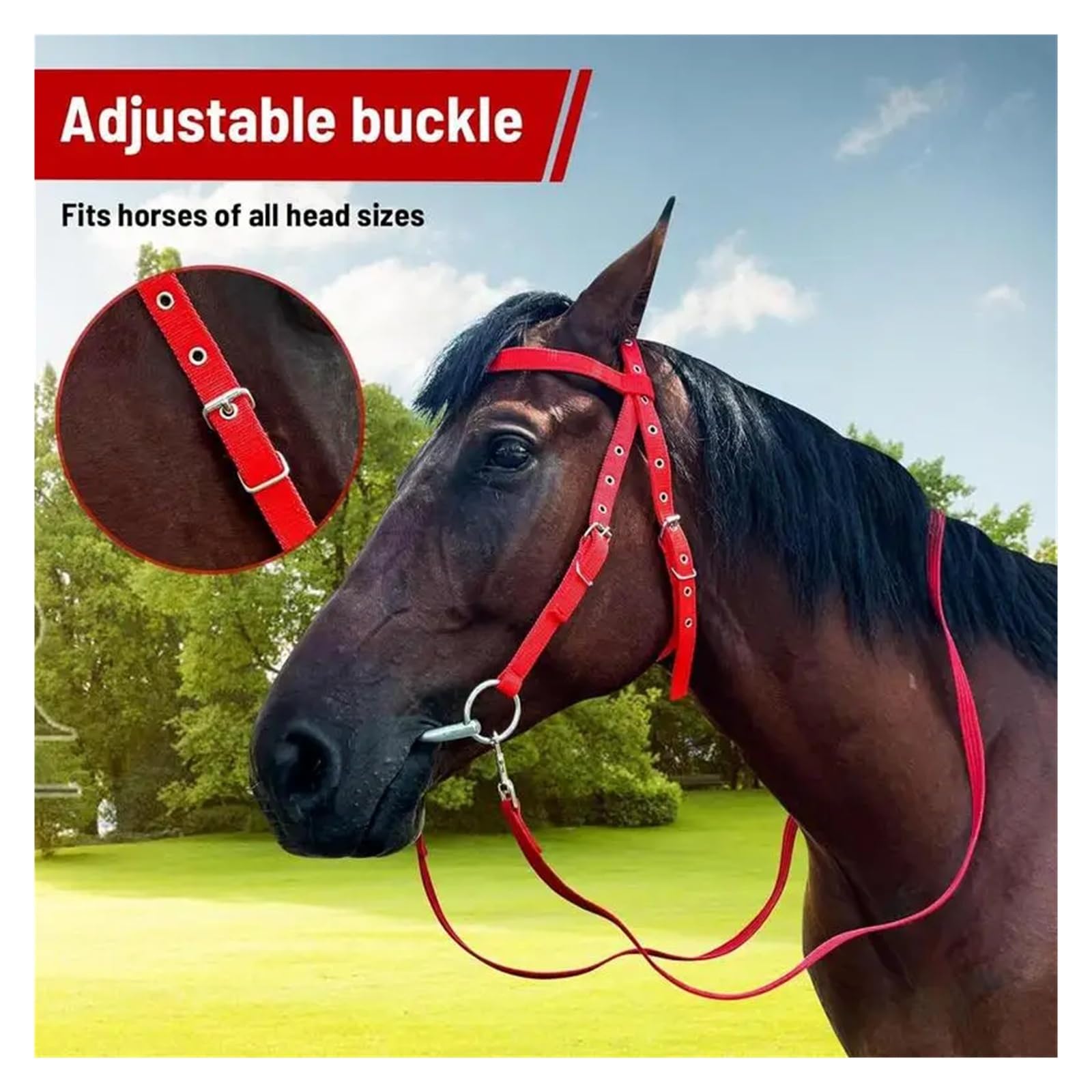 Halfter und Trense für Pferde aus Nylon, verstellbar, robustes Halfter mit Metallschnallen zum Reiten und Stall (Red55*15)