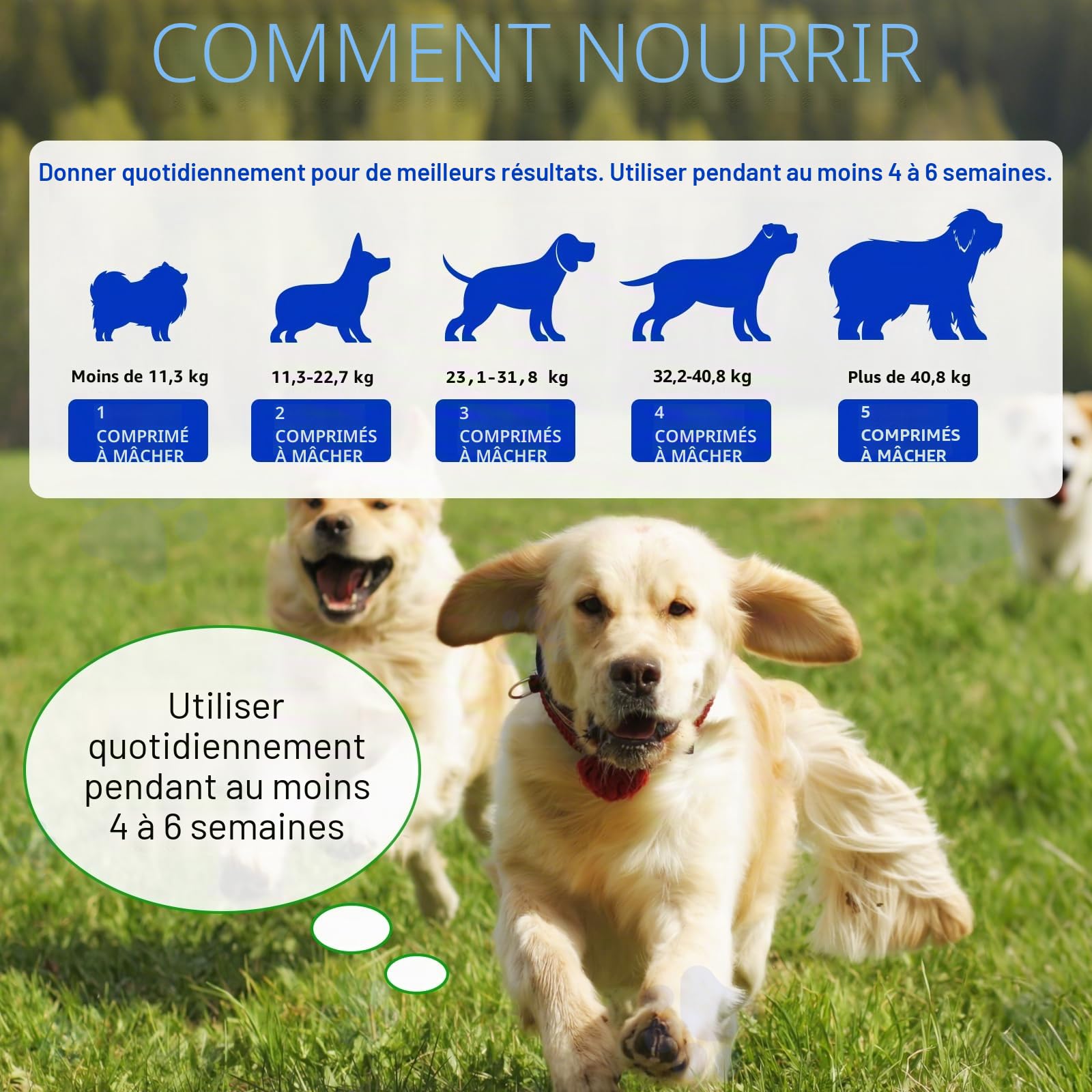 Probiotiques pour chiens avec prébiotiques – Probiotiques pour chien pour la santé intestinale | Soutient les enzymes digestives, la peau des démangeaisons, probiotique naturel pour chien – 150 goût