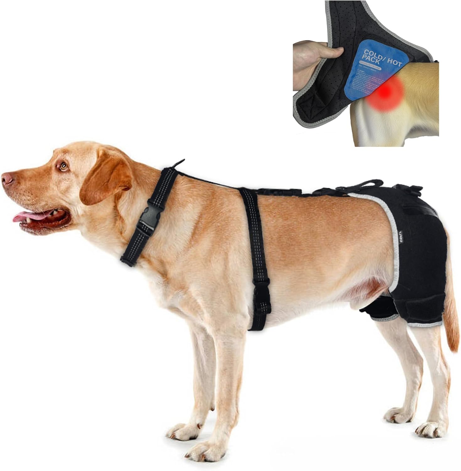 Dog Hip Dysplasia Brace with Hot/Cold Pack - Breathable Rear Leg Support for Mild Instability & Knee Care - Pet Joint Relief Wrap, Size L