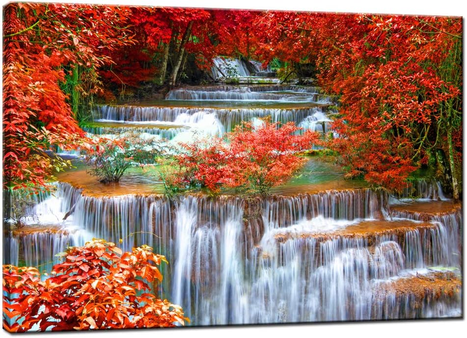 Yuqori sifatli tabiat rasmlar