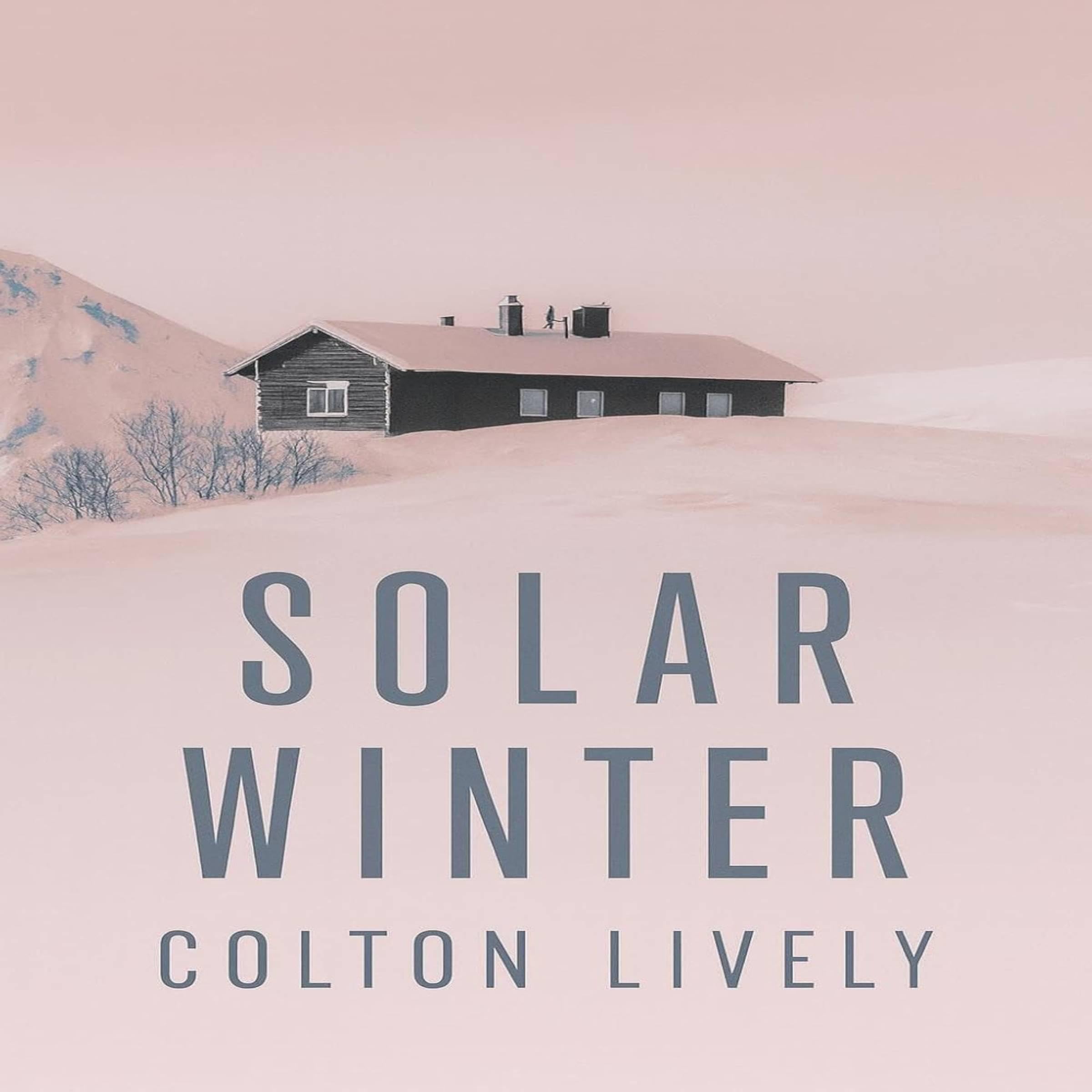 Cover art for Solar Winter
