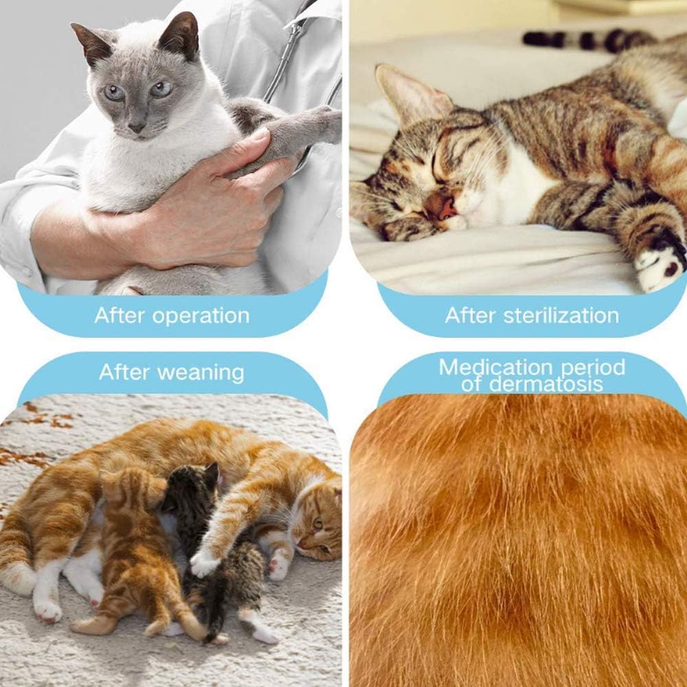 Cat Professional Recovery Suit,E-Collar Alternative for Dog,After Surgery Wear Anti Licking Wounds,Abdominal Wound Protector,Wound Bandage Protection,Home Indoor Pets Clothin,XS