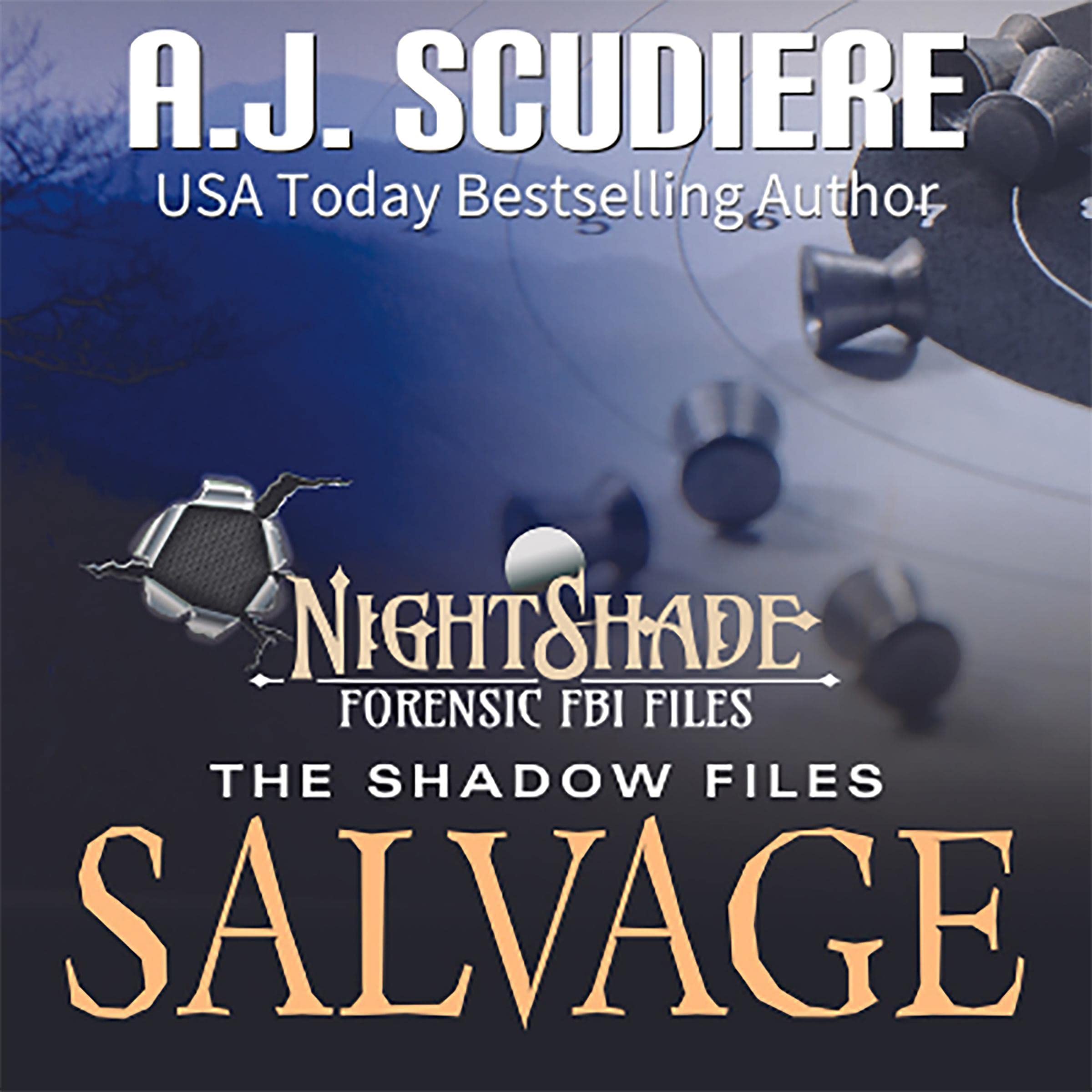Cover art for Salvage