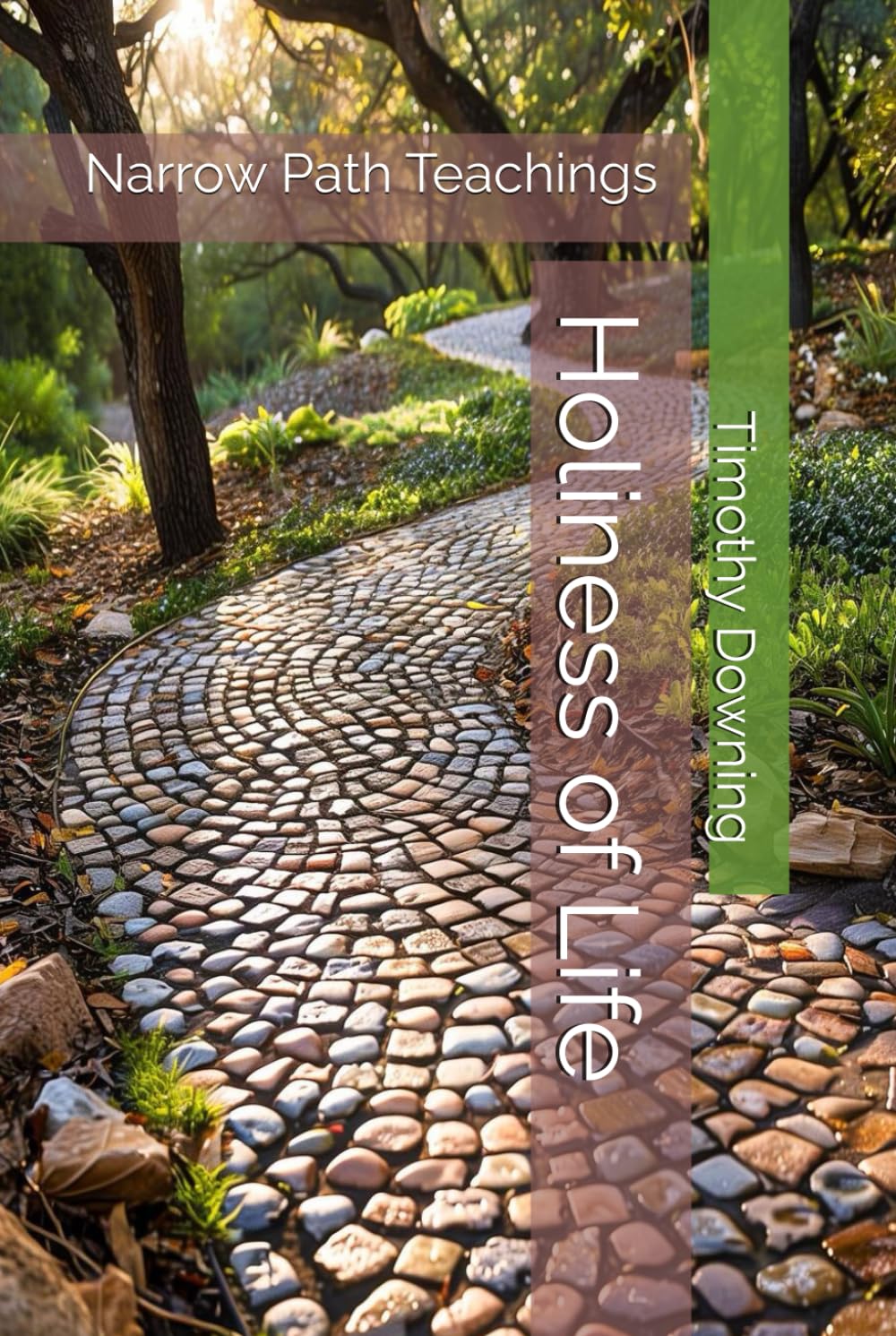 Holiness of Life (Narrow Path Teachings)