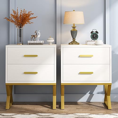 Tribesigns Juego de 2 mesitas de noche con 2 cajones, modernas mesitas de noche para dormitorio, mesa auxiliar de sofá, marco de metal, blanco y
