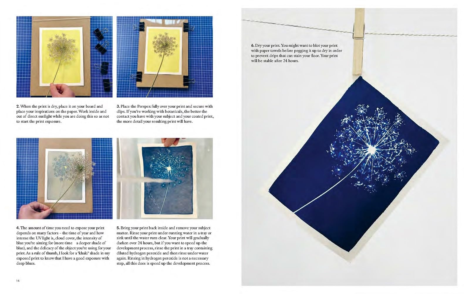 Cyanotype: Learn in a Weekend