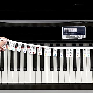 Removable Piano Keyboard Note Labels, Piano Keyboard Stickers for Beginners, Silicone piano notes overlay 88 key piano keyboard accessories for Kids, Piano Book Reusable and Comes with Box