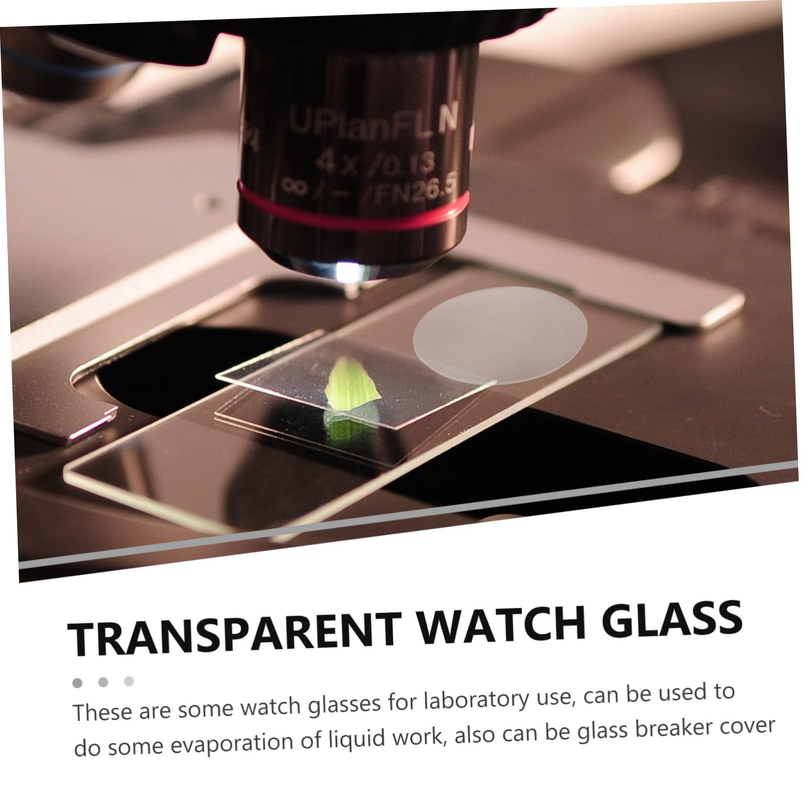 MAGICLULU de Vidrios de Reloj Planos Transparentes para Laboratorio 10 Piezas Material Sintético Resistente y Seguro Ideales para Clase de Química y Uso Escolar