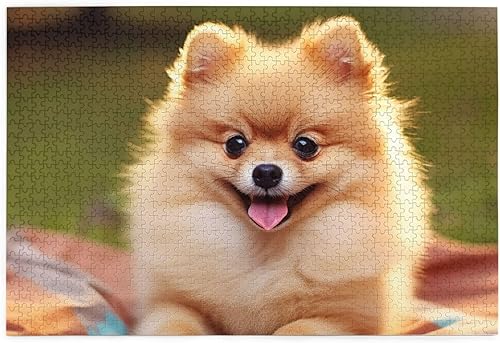 Miniatura 1 de Rompecabezas de 1000 piezas para adultos, rompecabezas desafiante de madera de Pomerania de pelo corto, rompecabezas personalizado con imagen para