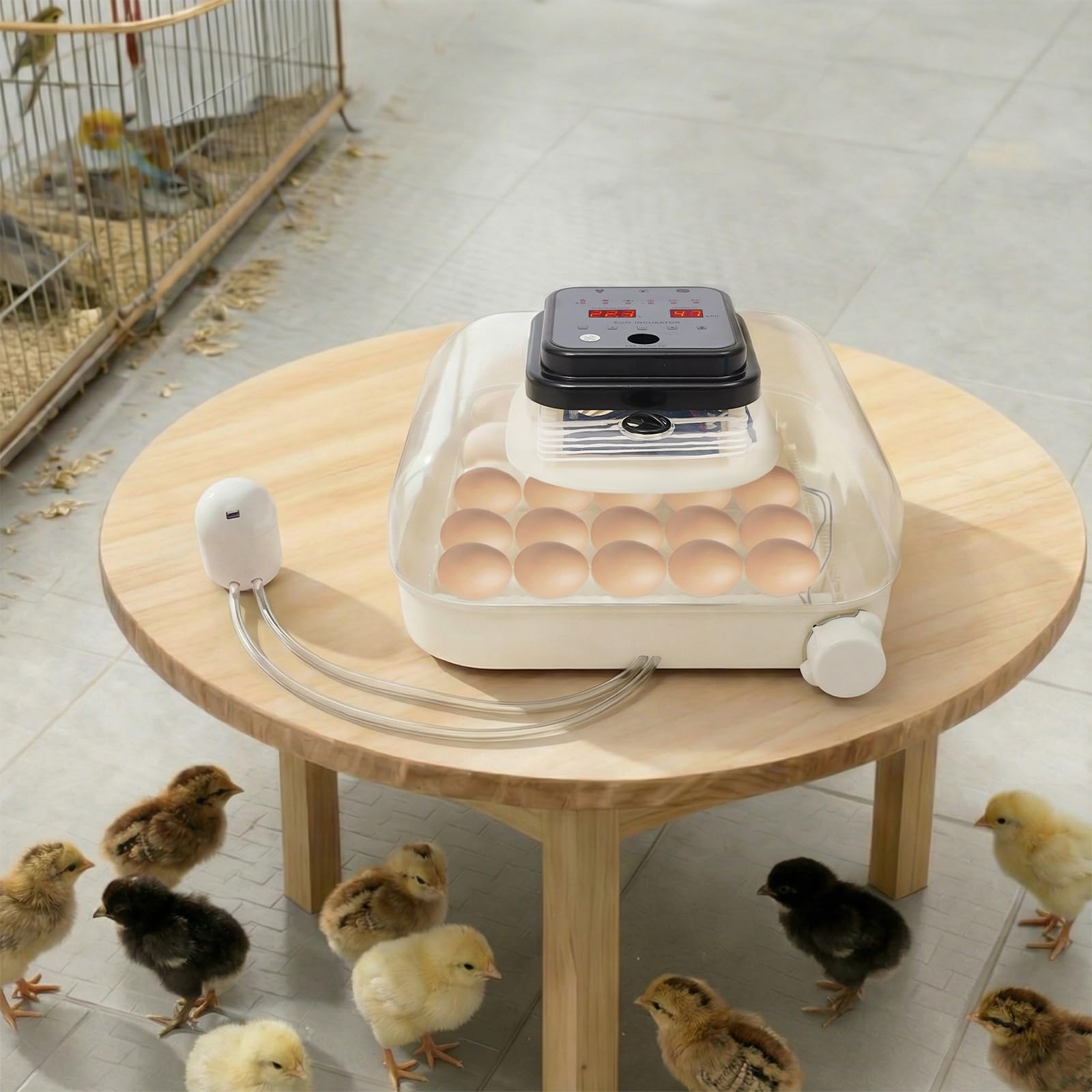 Incubatrice completamente automatica, polli incubatori con temperatura regolabile 0-40 °C e 50-90% di umidità 90 minuti e controllo delle uova a LED, incubatrice per uova di pollo e pappagalli (per 35