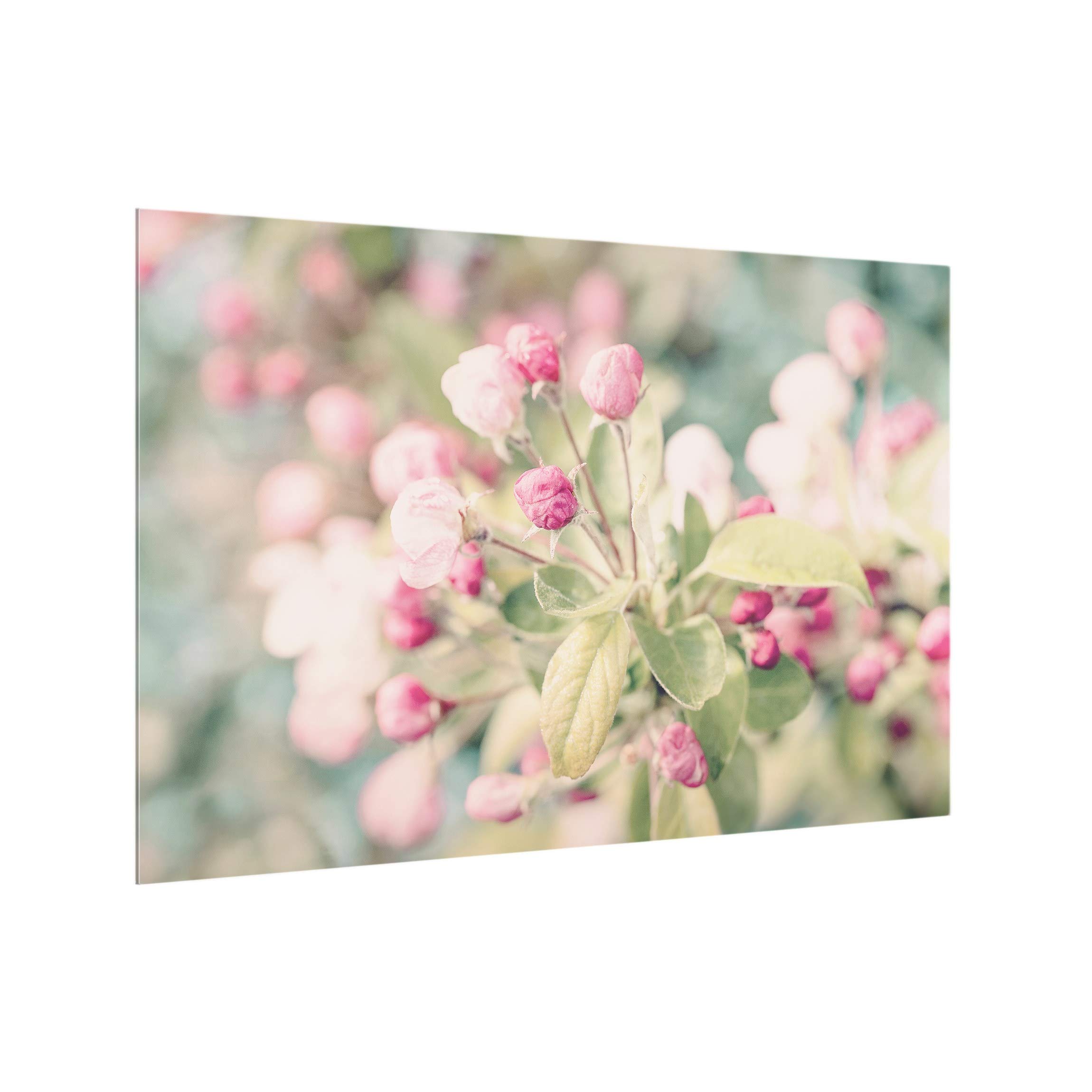Fond de hotte avec support épaisseur 4mm fleurs crédence cuisine avec motif verre trempé panneau mural rose crédence en verre motif cuisine 5542 (60x40cm)