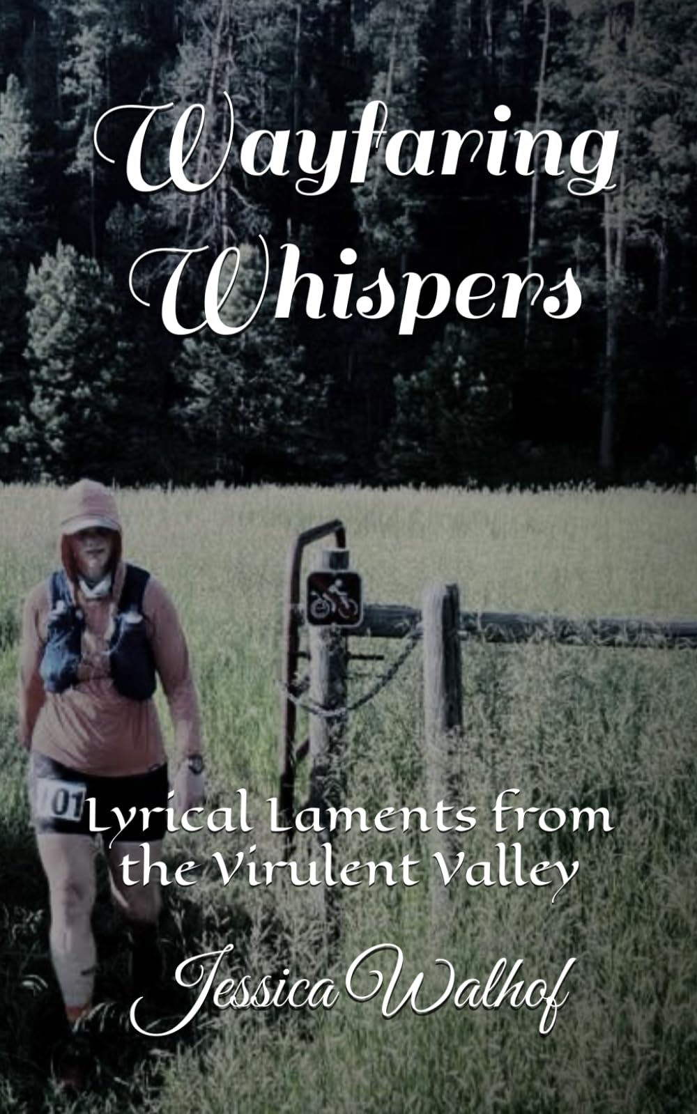 Wayfaring Whispers: Lyrical Laments from the Virulent Valley